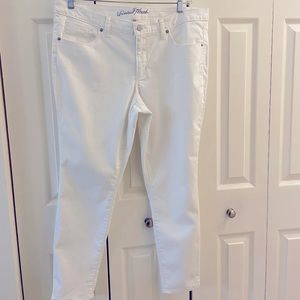 NWT White denim mid rise skinny Jean's 16/33R